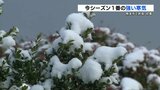 今シーズン1番の寒気 熊本市の金峰山では初冠雪 | 熊本のニュース|RKK NEWS|RKK熊本放送