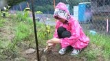 スキー場や牧場として利用されていた跡地を美しい森に イオン環境財団などが植樹イベント【岡山】 | 岡山・香川のニュース | 天気 | RSK山陽放送