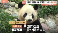 双子パンダ「シャオシャオ」「レイレイ」中国・四川省で一般公開スタート 日本から来たファンの姿も…「感無量」 今年1月に上野動物園から返還| TBS CROSS DIG with Bloomberg