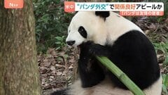 米アトランタに中国からジャイアントパンダ2頭到着「新たな楽しみが増えた」中国は“パンダ外交”でアメリカとの関係良好アピールか| TBS CROSS DIG with Bloomberg