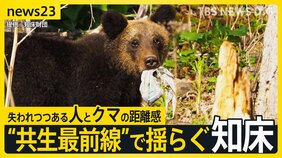 変わったのはクマか人か…「ヒグマの人慣れ」“共生最前線”知床で深刻化&nbsp;“エサやり”・“クマ待ち”　問われる人間のモラル　8月には世界遺産登録後初の死亡事故も【news23】|TBS NEWS DIG