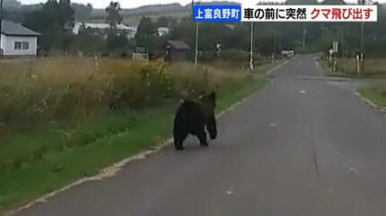 危ね！マジで！おいおい」道路に突然クマが飛び出し「うそ！」車の前を