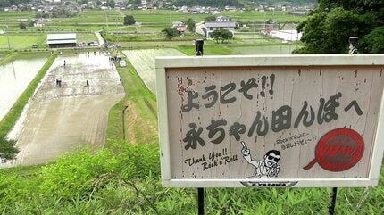矢沢ファンのみんなが力をあわせて」今年も “永ちゃん田んぼ” の田植え