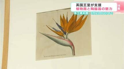 英国王室が育んだ芸術 ボタニカルアートと華麗なるウェッジウッドの