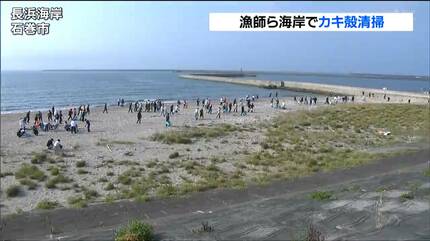 娘と何十回も来た海岸 少しでも力になれれば」大量に漂着した“カキ殻