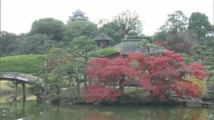 一気に掃除するからすっきりする」木々が色付く後楽園で県民