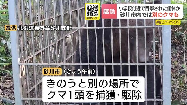 2日連続でクマを駆除も…さらに住宅街で目撃情報　出没相次ぐ北海道砂川市　|TBS NEWS DIG