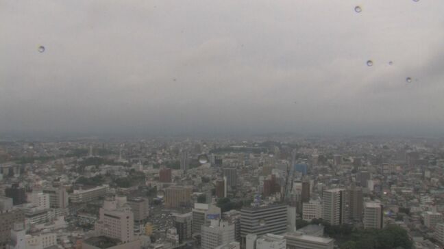 東北地方梅雨入り　東北南部は去年より9日早く|TBS NEWS DIG