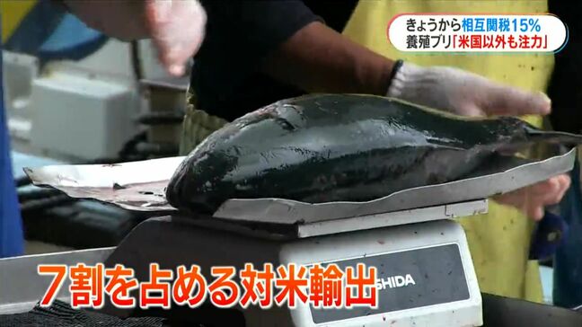 米相互関税15％発動　米輸出“年間18億円”　全国一のブリ養殖産地「東町漁協」は販路拡大めざす|TBS NEWS DIG