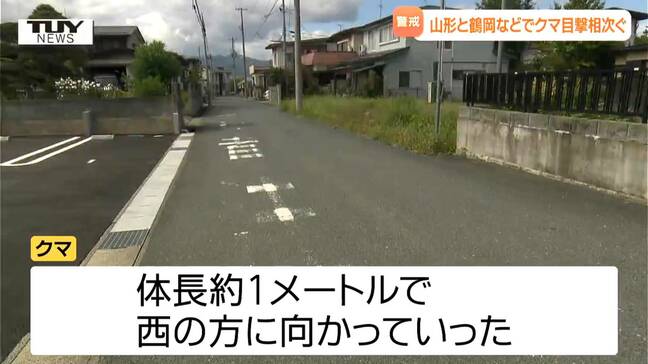 山形市の住宅街路上でクマ目撃 鶴岡市では乗用車とクマの衝突も 県内でクマ目撃相次ぐ(山形)|TBS NEWS DIG