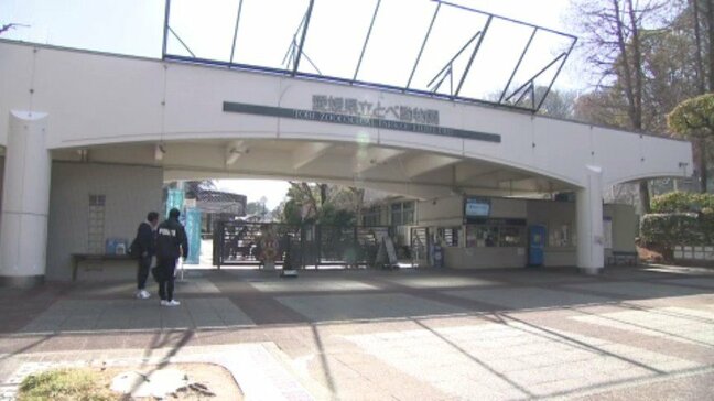 西日本有数の動物園・愛媛県立とべ動物園 入園料が大人500円→600円に 年間パスポートも1500円→2000円 園側には切実な事情|TBS NEWS DIG