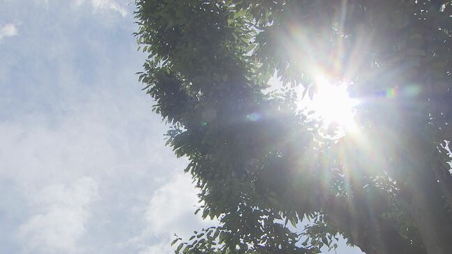草刈り作業など熱中症の疑い重症2件 福島県内で救急搬送41件 22日も福島など41都府県に熱中症警戒アラート|TBS NEWS DIG