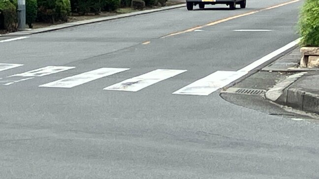 「『誰か』とか叫んでいた」交差点で車から降りた女性を突き飛ばしバッグ奪う 車を叩いて事故を装った可能性も バイクの男の行方追う 山梨|TBS NEWS DIG