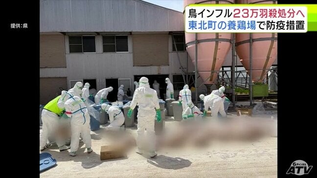 ニワトリ約23万羽を殺処分へ　青森県東北町の養鶏場で「高病原性鳥インフルエンザ」発生　遺伝子検査で確定　県内の養鶏場での発生は3年1か月ぶり9例目「迅速に終焉させたい」|TBS NEWS DIG