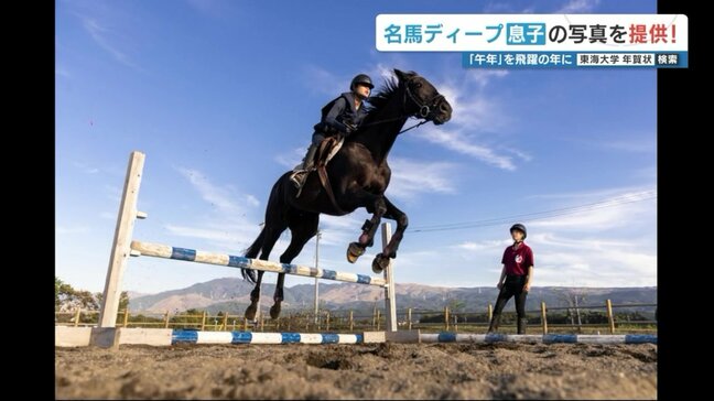 ディープインパクトの息子「ダノンプレジデント」 3月引退の「フェアリーミラー」の2頭　年賀状用の画像を熊本・東海大学が公開|TBS NEWS DIG