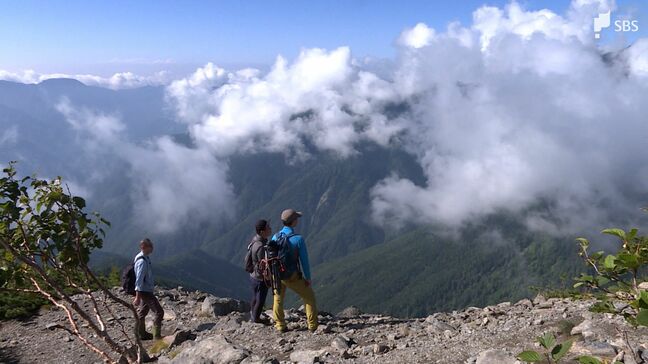 南アルプスの高山植物が"シカの食害"で危機に… 登山者の靴で外来種も 秘境の生態系を守る取り組み=静岡|TBS NEWS DIG