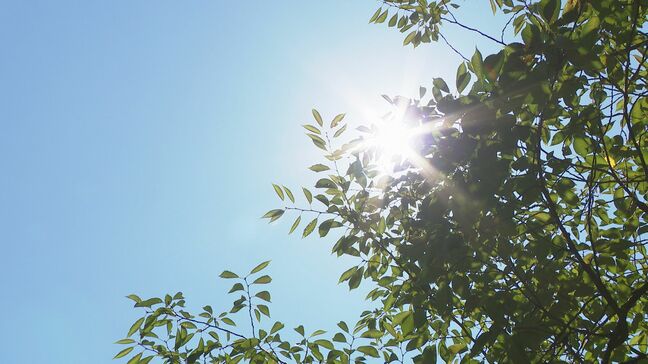 輪島と七尾で猛暑日に　きょうも石川県内は暑い！|TBS NEWS DIG