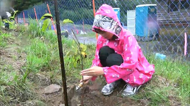スキー場や牧場として利用されていた跡地を美しい森に イオン環境財団などが植樹イベント【岡山】|TBS NEWS DIG