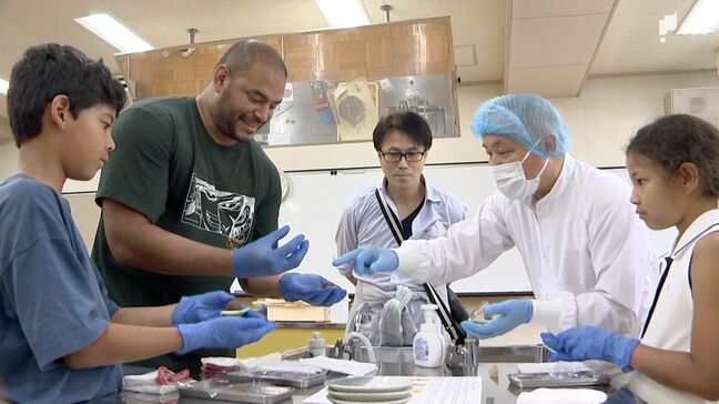 「富士山の自然の恩恵で栄えてきた産業」静岡県富士市の恵みを外国人がツアーで体験 地元職人と和菓子作り|TBS NEWS DIG