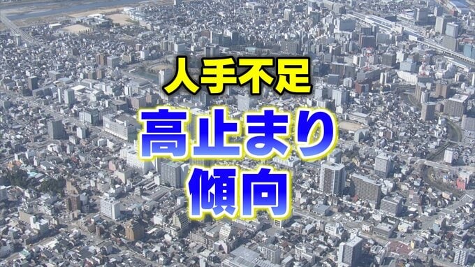 正社員の人手不足 51.0パーセント 高止まり...業種別で「情報サービス」高く「旅館・ホテル」「飲食店」は低下傾向へ　帝国データバンク調べ　|　富山のニュース｜天気・防災｜チューリップテレビ