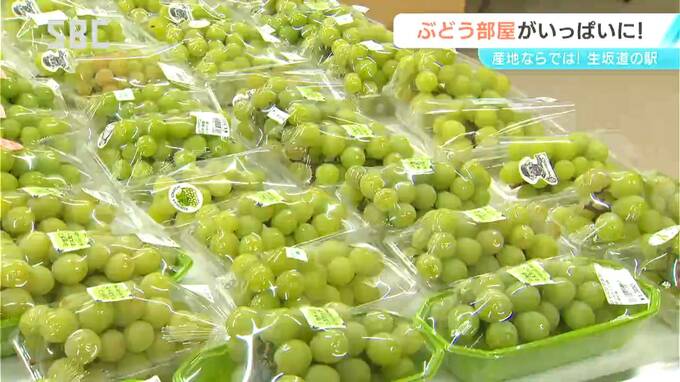 道の駅には恒例の特設売り場「ぶどう部屋」開設！生坂村特産のブドウの出荷最盛期　長野　|　SBC NEWS | 長野のニュース | SBC信越放送