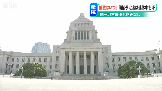 「衆議院はまさに“常在戦場”」来たるべき選挙に向けて“ゴールデンウイークも休みなし”　新潟1区|TBS NEWS DIG