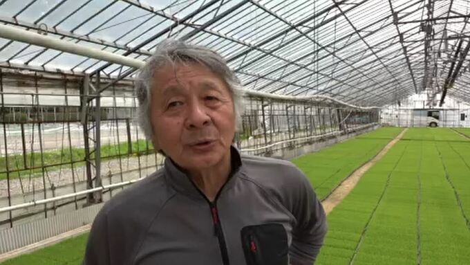 「農家がコメ作りやめ、今後の稲作に懸念も」被災した水田 田植えに向け苗づくり　|　石川県のニュース｜MRO北陸放送