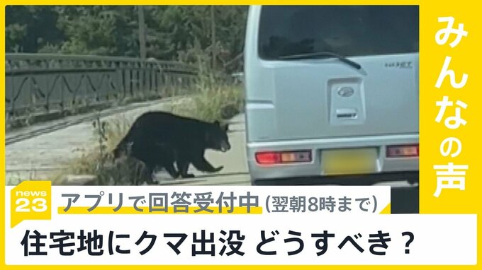 岩手や秋田でクマによる人身被害が相次ぐ　住宅地に出没したクマどうすべき?【news23】|TBS NEWS DIG