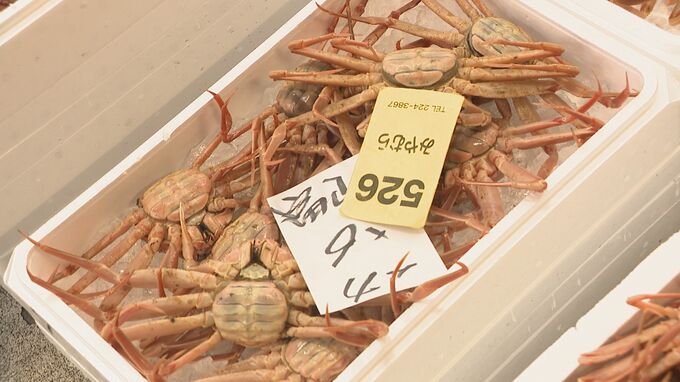 寒ブリ・ノドグロなど約114トン！需要は回復傾向 卯年にあやかり飛躍の年に 市場で「初市」　|　石川県のニュース｜MRO北陸放送