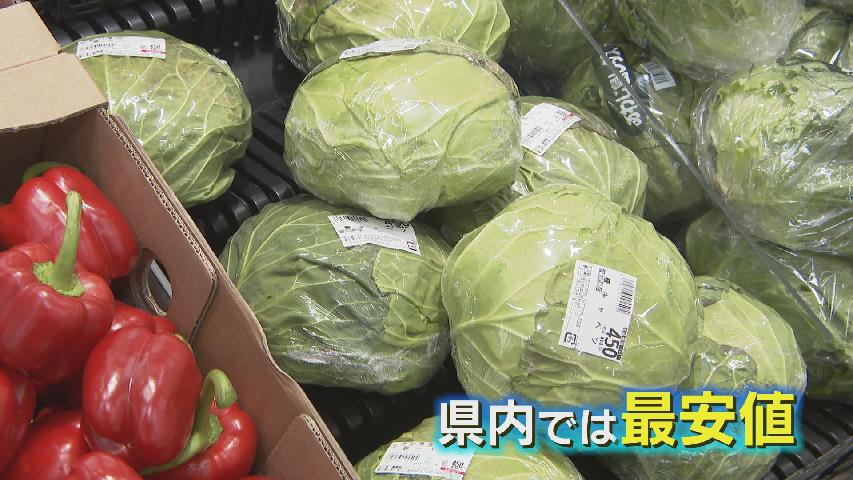 1玉398円で通常の倍！キャベツの高値で “とんかつ店” が窮地「こだわり