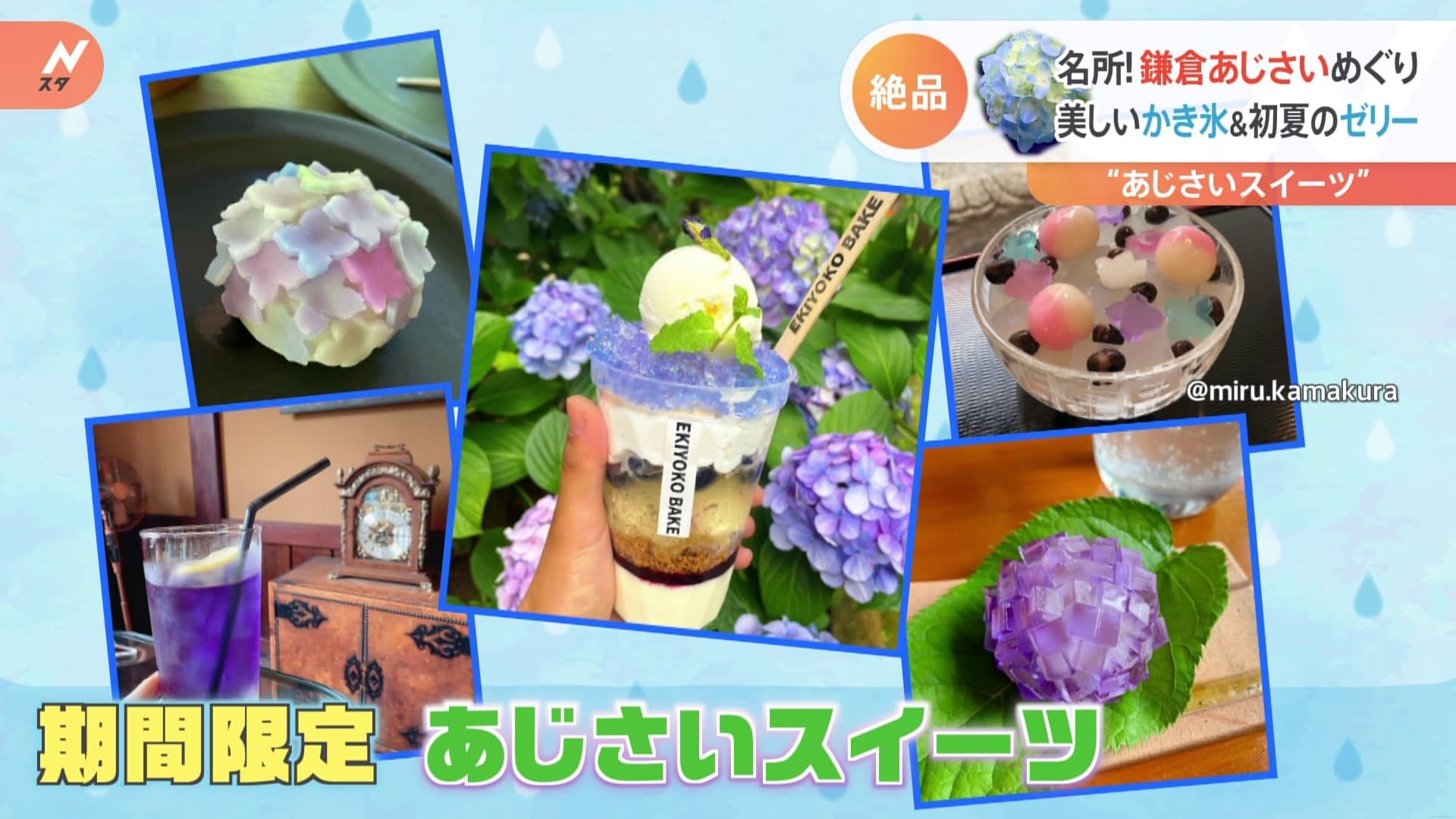 鎌倉にあじさいシーズン到来 1日1000個売れる 大仏さまの顔 とは 裏小町の隠れカフェも紹介 Tbs News Dig