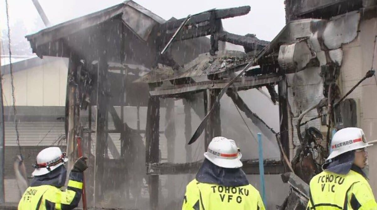 活動歴および当時の関連ビジュアル記録