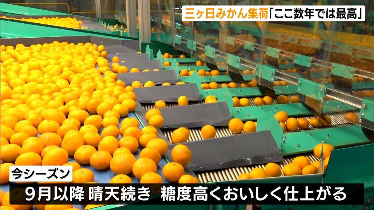 img_3deb6561e8383e6ae5c3c473a9