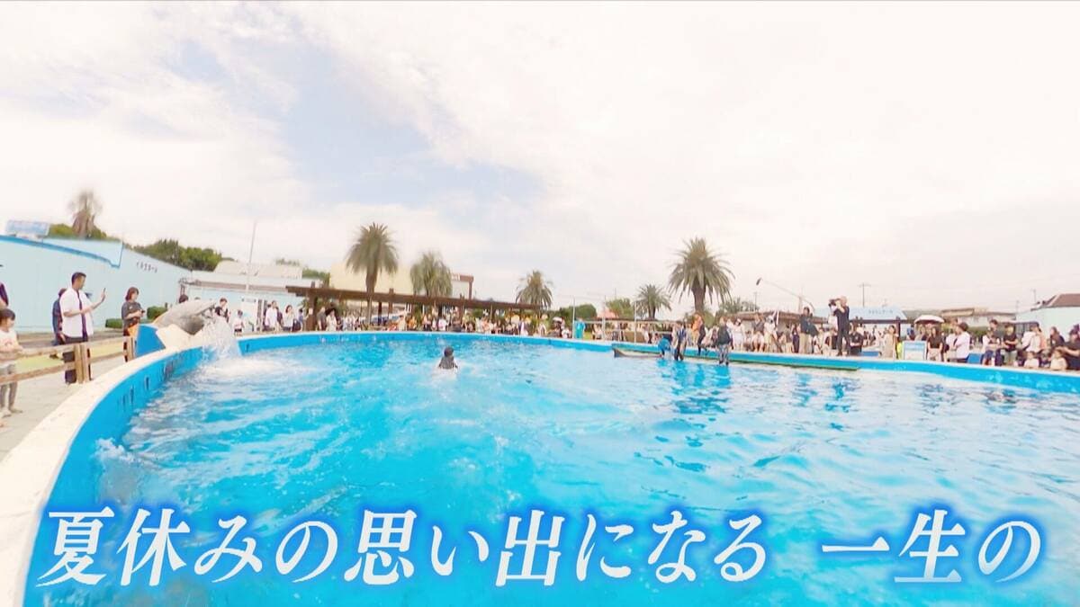 この夏行きたいおすすめスポット！島唯一の鉄板料理から発酵＆醸造が主役の横丁、イルカ体験まで