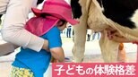 受験や就職にも影響?子どもの『成功のカギ』<体験>の格差を広げた3つの“衰退”|TBS NEWS DIG