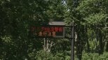 【速報】6月にクマに襲われたとみられる男性遺体が見つかった八甲田 入山規制を7月末で解除へ 新たなクマ被害が確認されない場合延長せず 青森市 17日に周辺で捕獲のクマは 男性襲ったクマと同一個体とみられると発表|TBS NEWS DIG