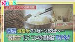 備蓄米21万トン放出 コメの価格は下がる?古米をおいしく食べる方法は?【ひるおび】|TBS NEWS DIG