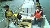 豊かな瀬戸内海を!海の生き物を育むアマモの生育場所を再生へ【岡山・備前市】 | 岡山・香川のニュース | 天気 | RSK山陽放送