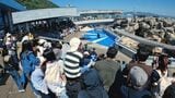 「大分の夏は涼しい」県が新たな観光戦略…インバウンド激減の“夏”を攻略へ　「クールサマー」作戦の舞台裏|TBS NEWS DIG