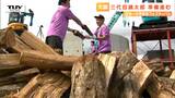 ”日本一の芋煮会フェスティバル” 大鍋用の薪が並べられる 代々伝わる組み方で当日の薪の補充は必要なし!(山形) | 山形のニュース│TUYテレビユー山形