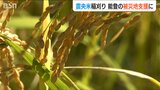 「エールを能登へ届けたい」震源近くで獲れた『震央米』を小学生が収穫【中越地震から20年】|TBS NEWS DIG