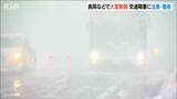 長岡地域に大雪警報 3時間で23cmの雪も…23日にかけ平地でも大雪の恐れ、交通障害に注意・警戒を 新潟|TBS NEWS DIG