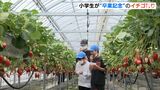 「お腹いっぱい」「最高でした」175個食べた児童も！卒業の思い出にイチゴ狩り＝静岡・三島市|TBS NEWS DIG