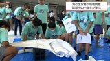 延岡市の小学校で海の生き物や環境問題について学ぶ授業|TBS NEWS DIG