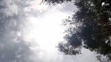 「なるべく暑い時間は家にいるようにして過ごしています」静岡市が5日連続の猛暑日に 知事も警戒呼びかけ | 静岡のニュース | SBSNEWS | 静岡放送