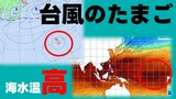 【台風のたまご】アジア太平洋域の予想天気図に“熱帯低気圧”が発生へ　周辺海水温は2〜3℃高い状態　これからの台風情報に注意を　|TBS NEWS DIG