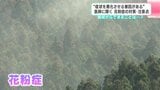 普段からできることは「『生活リズムを整える』というのが一番」　医師に聞いた花粉症の対策・注意点|TBS NEWS DIG