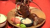 伊勢えび漁解禁 「東九州伊勢えび海道・伊勢えび祭り」始まる 延岡市で関係者が試食会 | MRTニュース | MRT宮崎放送