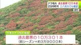 「ナラ枯れ」過去最悪の10万本超の被害が… 青森県の被害は前シーズンの1.6倍に 三八地方で初の被害確認も「根絶は遠い話…」【今シーズンの被害の特徴など解説あり】|TBS NEWS DIG