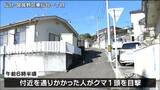 東仙台駅付近でまたクマの目撃情報　体長約１ｍ　周辺で連日の目撃情報　仙台　|　宮城のニュース│tbc NEWS│tbc東北放送